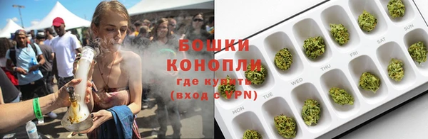 прущие грибы Балахна