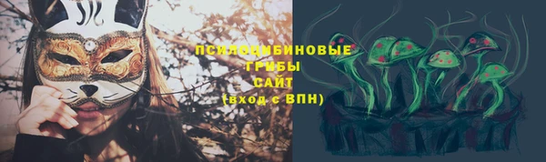 a pvp Саяногорск
