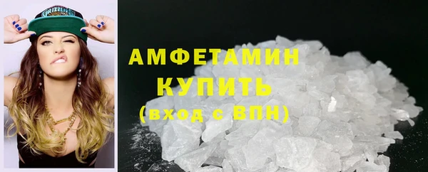 прущие грибы Балахна