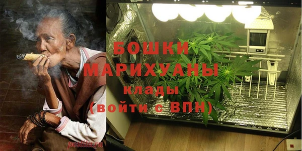 прущие грибы Балахна